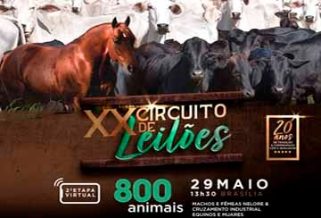 XX CIRCUITO DE LEILÕES FAZENDAS BARTIRA